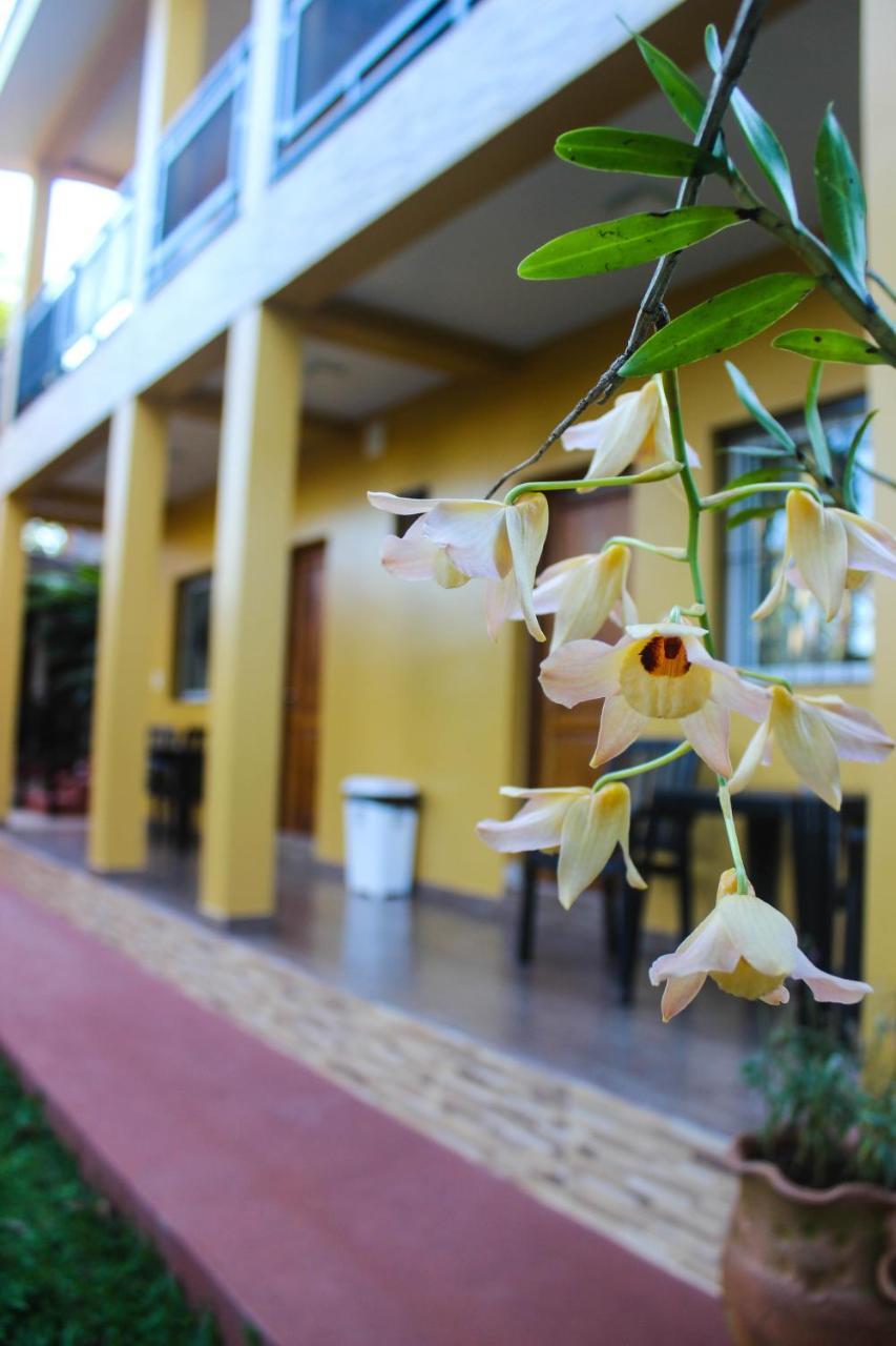 Hospedaje Jose Gorgues Puerto Iguazu Ngoại thất bức ảnh